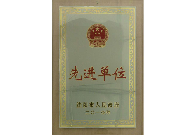 沈阳市先进单元